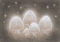 Mushroom Fantasy